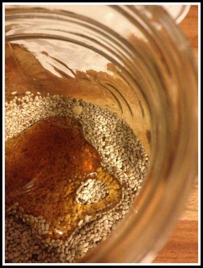 PB-Chia-Honey Bites for Training