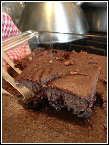 Protein Bars Exposed PLUS High Protein Brownie Recipe